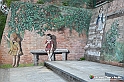 VBS_3679 - Fontanile (Asti) - Murales di Luigi Amerio